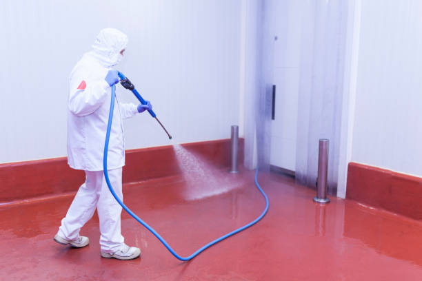Best Playground Equipment Cleaning  in Lockhart, TX